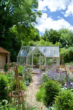 a garden filled with lots of different types of plants