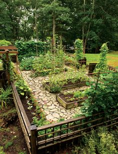 a garden with lots of plants and rocks on the ground in front of some trees