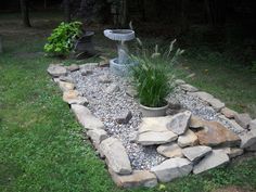 a garden with rocks and plants in it