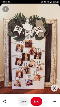 a family tree with pictures hanging from it's branches and the words, one wild year