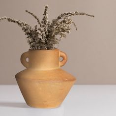 a vase with some flowers in it sitting on a white counter top next to a wall