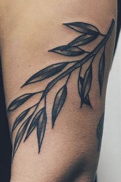 an olive branch tattoo on the right arm