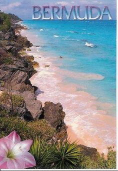 an image of the beach with flowers in front of it and the words berwuda