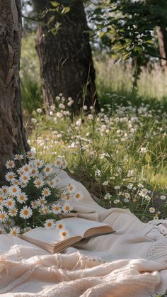 an open book on a blanket under a tree with daisies in the foreground