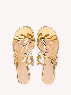 Sandals FLAVIA 05| Gianvito Rossi Luxury Gold Flats For Spring, Rose Gold Accessories, Men Shoes Formal, Mirror Effect, Leaf Motif, Shades Of Gold, Low Block Heels, Flat Boots, Shoe Obsession