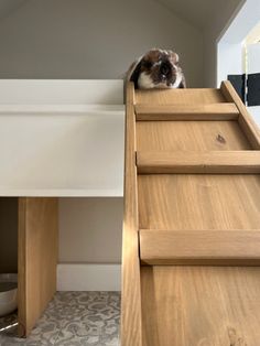 a hamster sitting on top of a wooden staircase next to a desk and chair