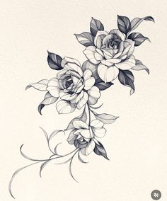 a black and white drawing of flowers