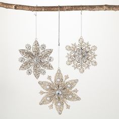 two snowflakes hanging from a tree branch