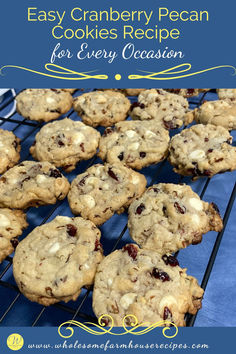 delicious cranberry and white chocolate cookies on cooling rack Cranberry Pecan Cookies, Kid Friendly Dessert, Frozen Dog Treats, Cookies Baking, Oreo Recipes, Pecan Cookies, Recipes Appetizers And Snacks, Sugar Cookie Dough, Baking Mixes