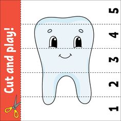 a tooth cut out with scissors and numbers to match it's teeth for cutting