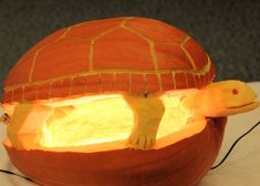 an orange pumpkin with a turtle carved into it's shell and the light is turned on