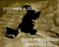 a black and white dog laying on top of a bed next to a quote that reads, you were a child there was nothing you could do