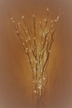 a vase filled with branches and lights on top of a table