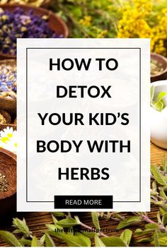 Discover the best herbal remedies to safely and naturally detox your kid’s body from heavy metal exposure. Learn how dandelion root, milk thistle, garlic, ginger, turmeric, and aloe vera can cleanse their liver, and kidneys, and boost immunity. Take action now to protect your child's health! #detox #herbalremedies #kidshealth Detox For Kids, Nutrition Meal Plan, Heavy Metal Detox, Nutrition Quotes, Nutrition Activities, Milk Thistle, Natural Detox, Nutrition Education