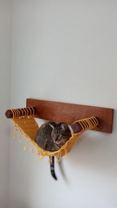 a cat is sitting in a hammock hanging on the wall