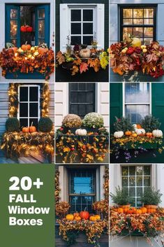 several pictures of fall window boxes with pumpkins and gourds in the windows