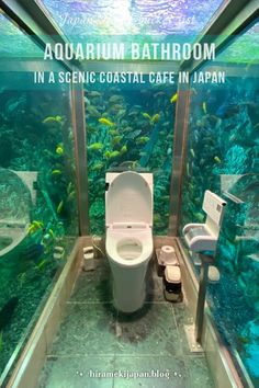 there is a toilet in an aquarium with the words aquarium bathroom in a scenic coastal cafe in japan