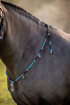 a brown horse wearing a blue beaded halter