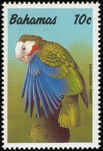 a postage stamp with a colorful bird on it