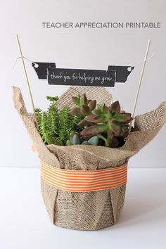 a basket filled with succulents sitting on top of a white table next to a sign that says thank you for helping me grow