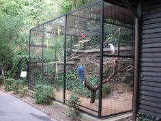 two birds in a cage on the side of a building next to some trees and bushes