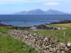 a sheep standing on top of a grass covered field next to a stone wall and ocean