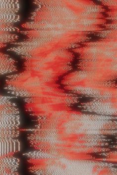 an orange and black pattern is seen in this image, with the background blurry