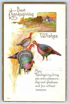 an old thanksgiving card with three turkeys