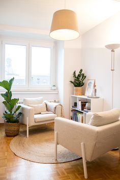 a living room filled with furniture and a potted plant on top of a wooden floor