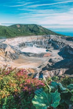 an open pit in the middle of a mountain with flowers growing on it's sides