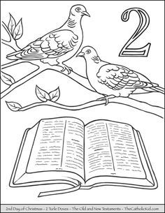 two birds sitting on top of an open book with the numbers 2 and 3 in it