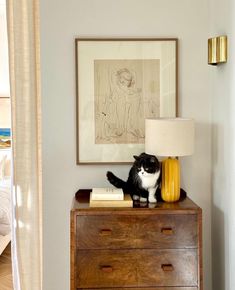 a black and white cat sitting on top of a wooden dresser next to a lamp