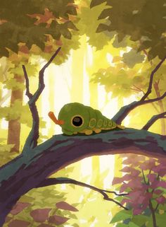 a green bird sitting on top of a tree branch in a forest filled with leaves