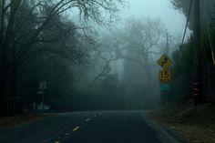 a foggy road with trees and street signs