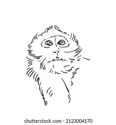 an ink drawing of a monkey's face on a white background, hand drawn