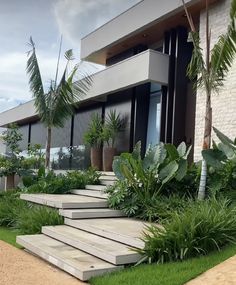 a house that has some plants in front of it and stairs leading up to the outside