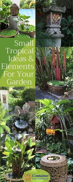 small tropical ideas and elements for your garden