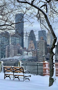 a park bench covered in snow with the city skyline in the background on a cloudy day