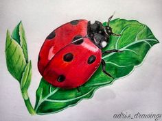 a drawing of a ladybug sitting on top of a green leafy plant