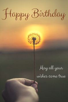 a hand holding a dandelion with the sun setting in the background and happy birthday card