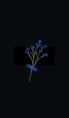 blue flowers on a black background with a book in the foreground that reads, i am not sure what this image is