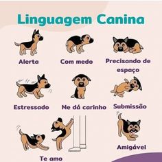 an image of dogs in spanish with the words lingguagem canna on it