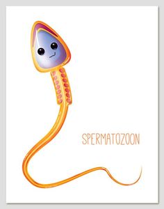 a card with an image of a yellow worm on it's side and the words spellatozoon above it