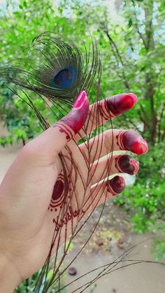 a woman's hand with red nail polish holding a peacock feather