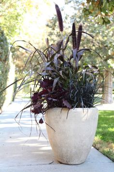 a potted plant sitting on the side of a sidewalk next to grass and trees