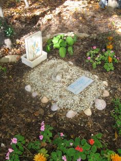 there is a small rock garden in the middle of some flowers and rocks on the ground