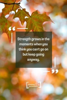 the quote strength grows in the moments when you think you can't go but keep going away