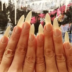 Sharp Nails, Makeup Looks, Nails, Makeup, Animals