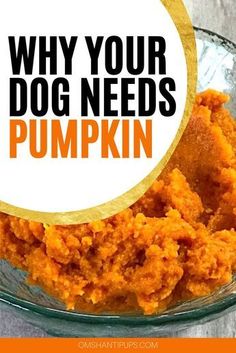 a glass bowl filled with pumpkin hummus and the words why your dog needs pumpkin