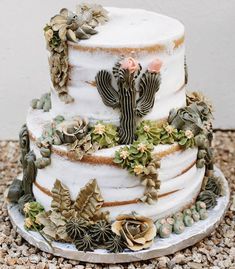 a three tiered cake decorated with cactus and succulents